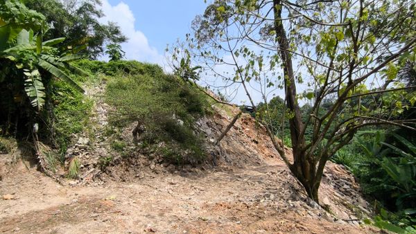 【森林变非法垃圾场】向土地局投报非法垃圾场 游佳豪:必要时报警揪幕后黑手