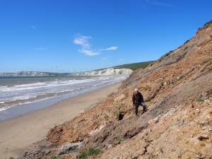 Most complete dinosaur in 100 years found on Isle of Wight