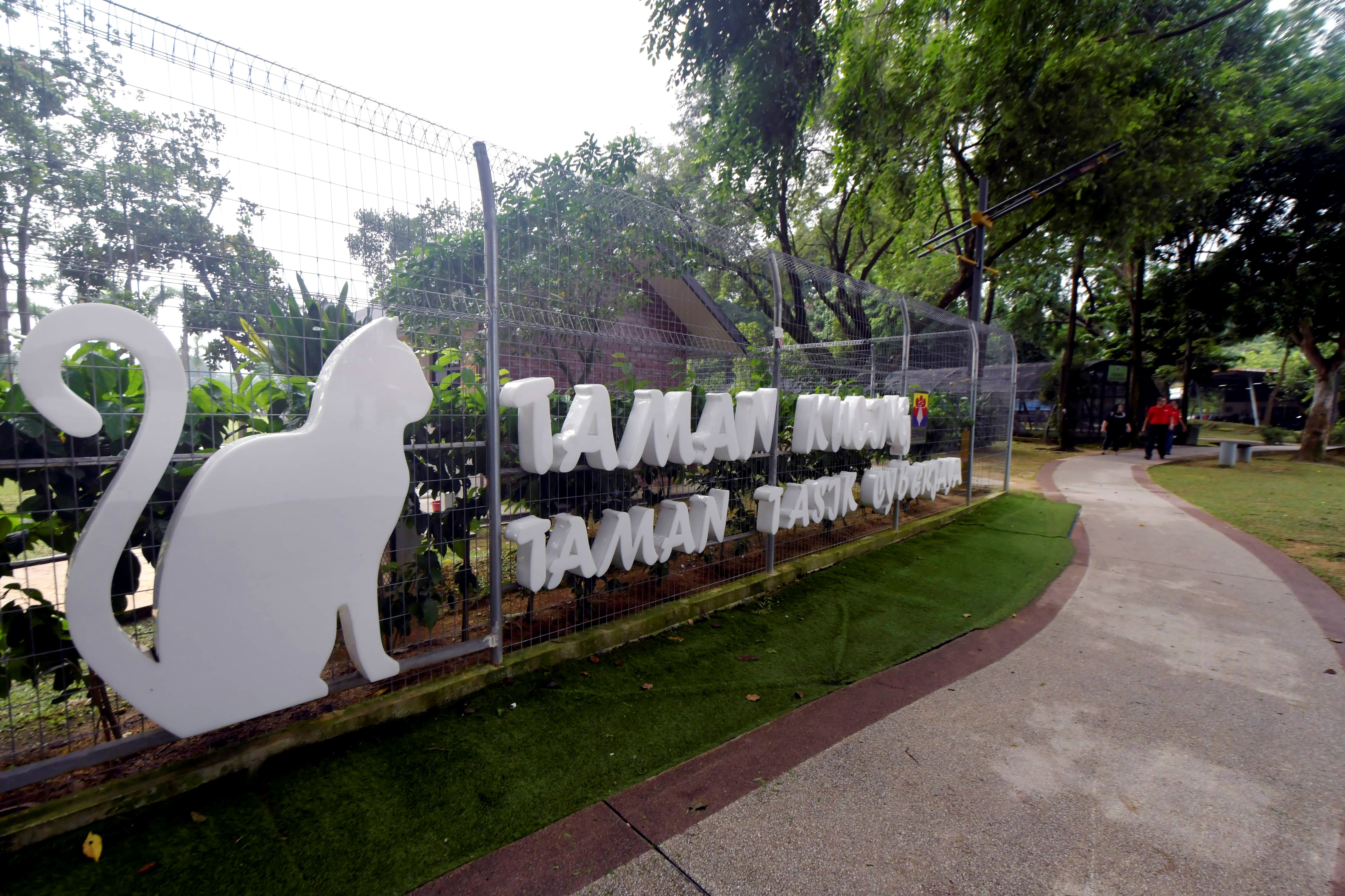 赛城猫咪公园施工提升    1月5日暂时关闭