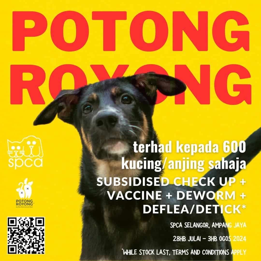 Pemilik anjing, kucing dipelawa sertai program Potong Royong