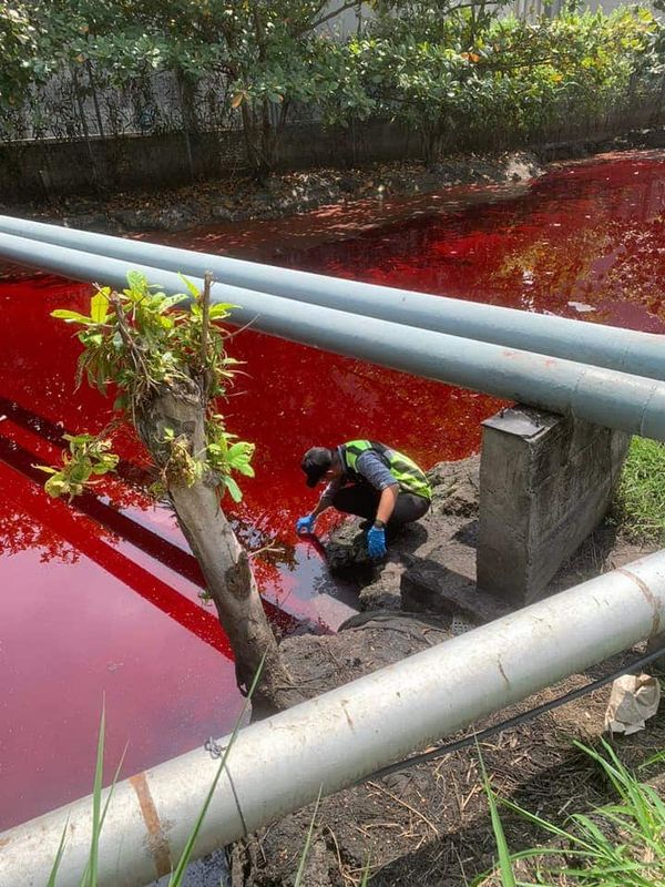 巴生港口水闸门有油污 LUAS指示厂方马上维修清除污染