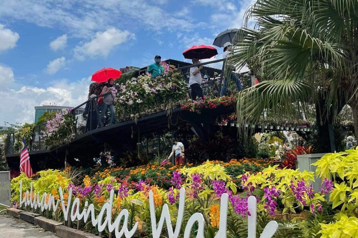 布城皇家花卉展822登场 预计吸引逾100万游客