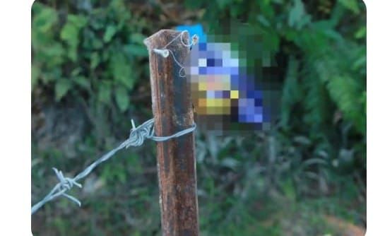 误食含老鼠药虾片     两兄弟吐白沫情况危殆