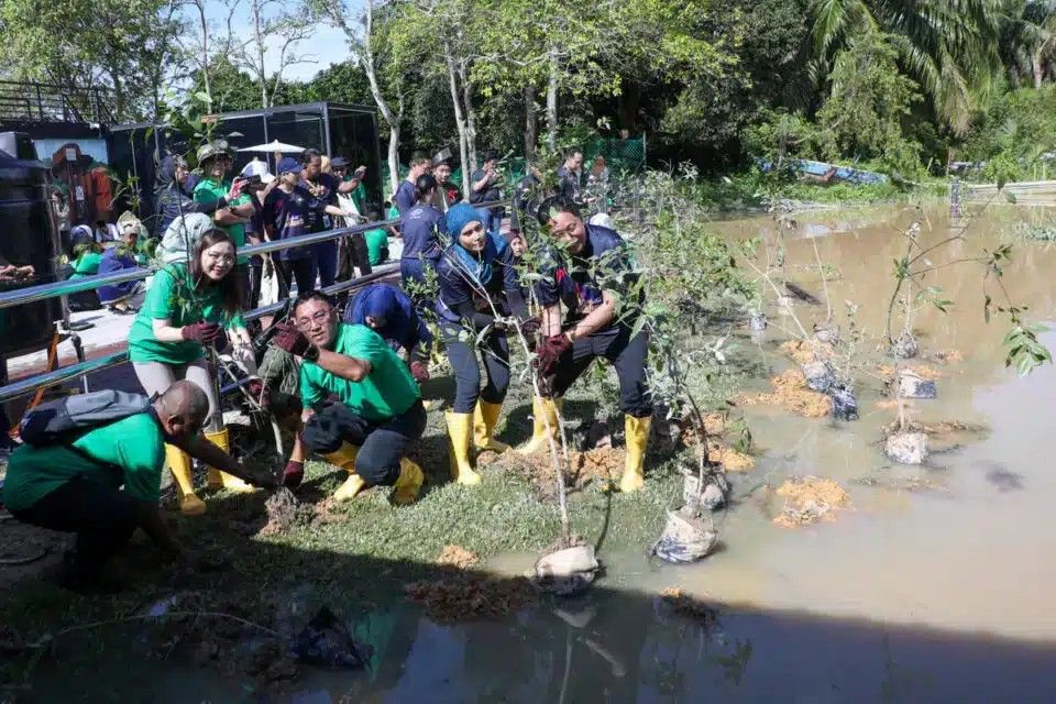 瓜雪市会Petron合作种33333树苗 保护萤火虫栖息地与生态