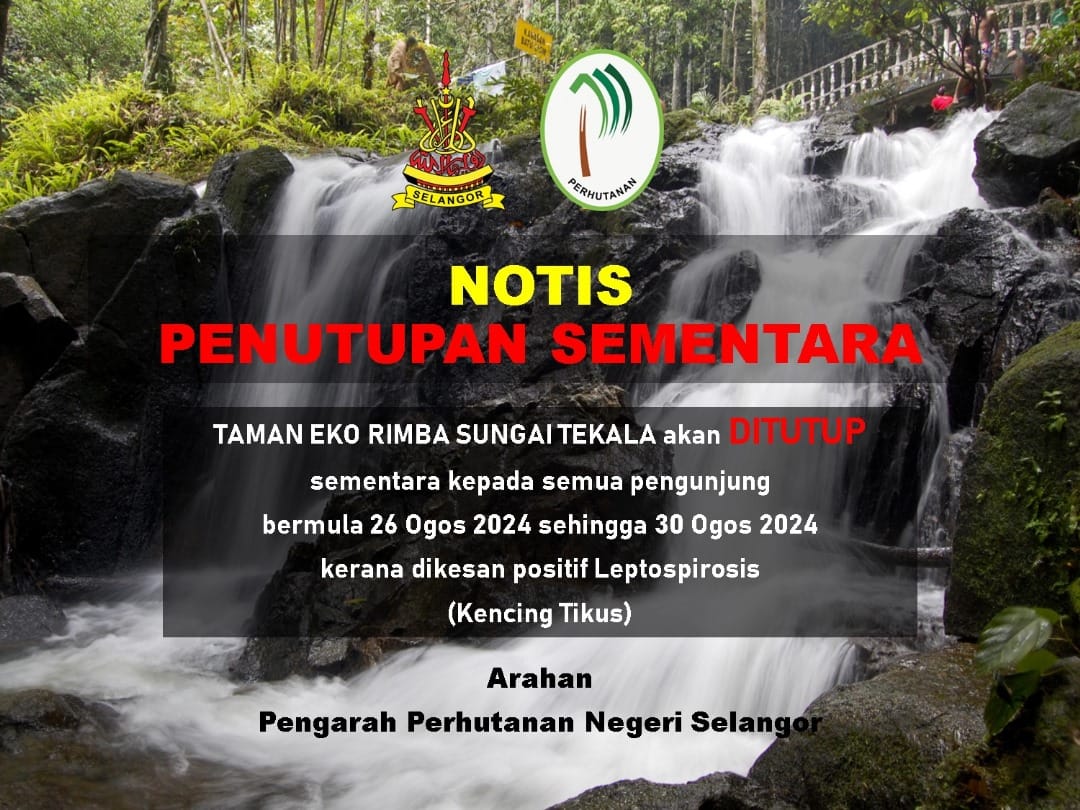 Kencing tikus, Taman Eko Rimba Sungai Tekala ditutup sementara lima hari