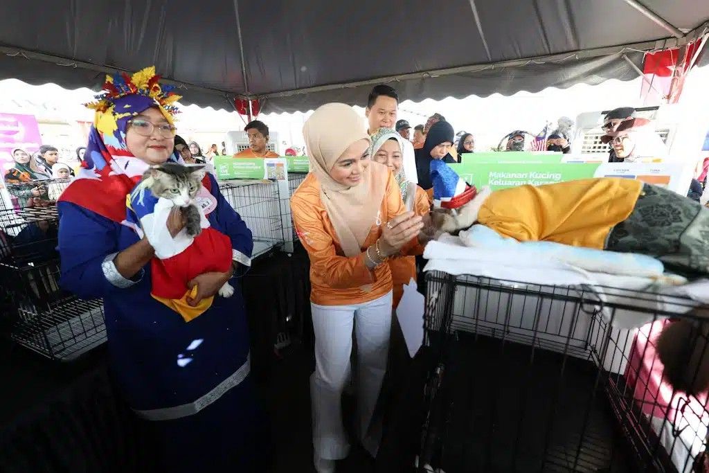 RM800,000 கட்டுமான செலவில் முதல் பூனை பூங்கா திறக்கப்பட்டது