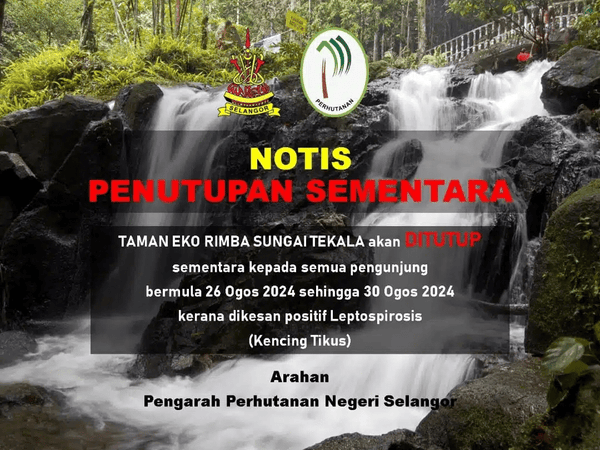 Brief closure of Sungai Tekala Recreation Forest due to leptospirosis