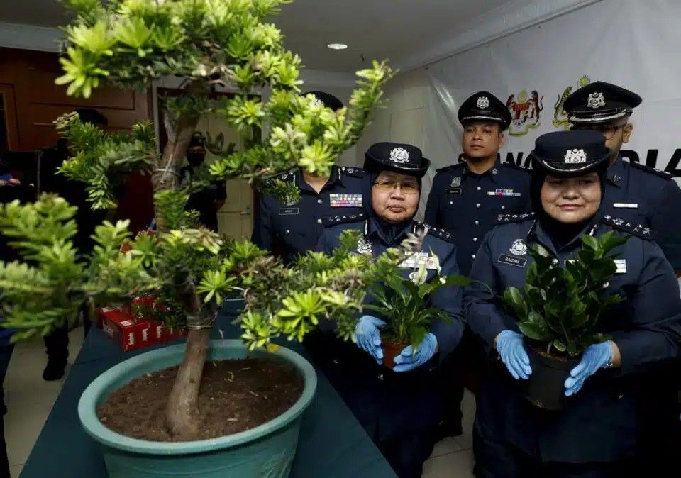 关税局捣破走私及贩毒勾当   充公市值逾3千万豪车毒品