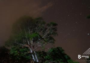 MYSA: Fenomena hujan meteor Perseids memuncak malam ini