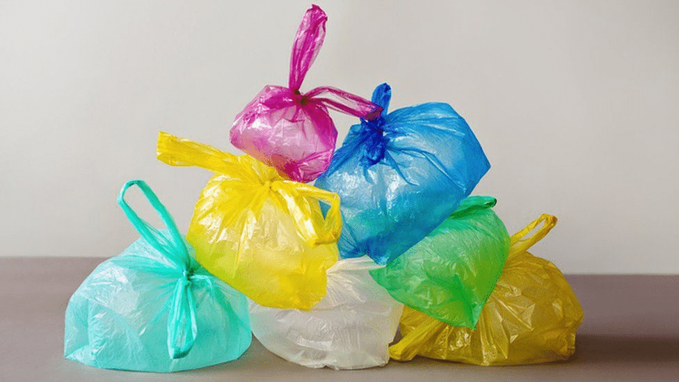 ‘No plastic bag’ campaign to make way to primary schools next year