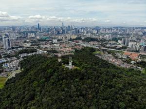 Govt moves to gazette Bukit Dinding, Pulai Trail as forest reserves