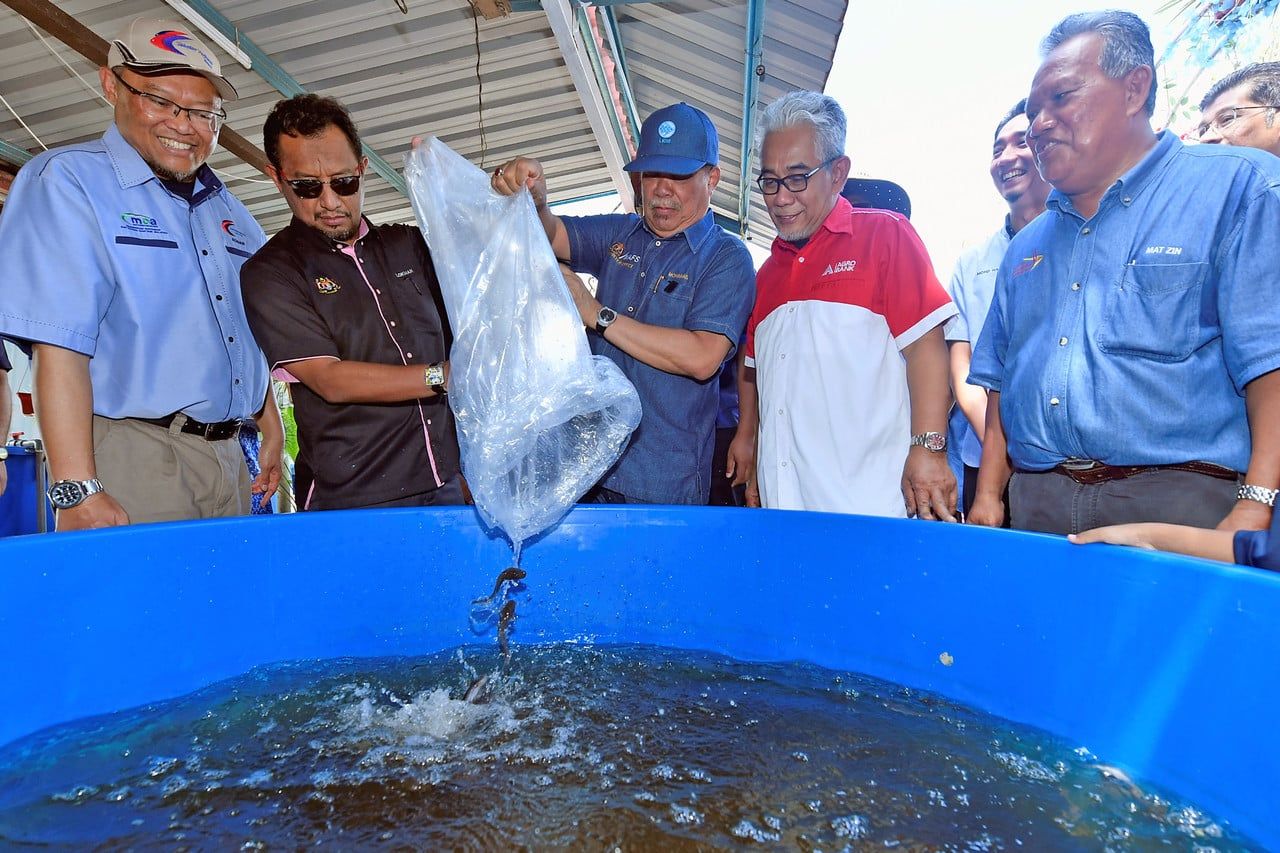 末沙布：农业部助力提高国家收入