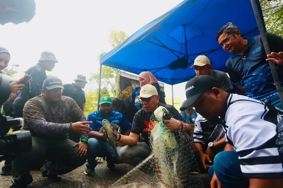 捕1公斤清道夫鱼奖励1令吉  猜猜2小时可进账多少？