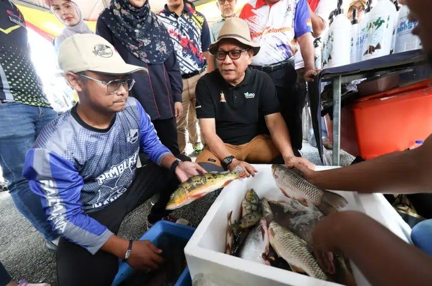 下月展开捕掠食性鱼类活动  依兹汉：每公斤给1令吉报酬