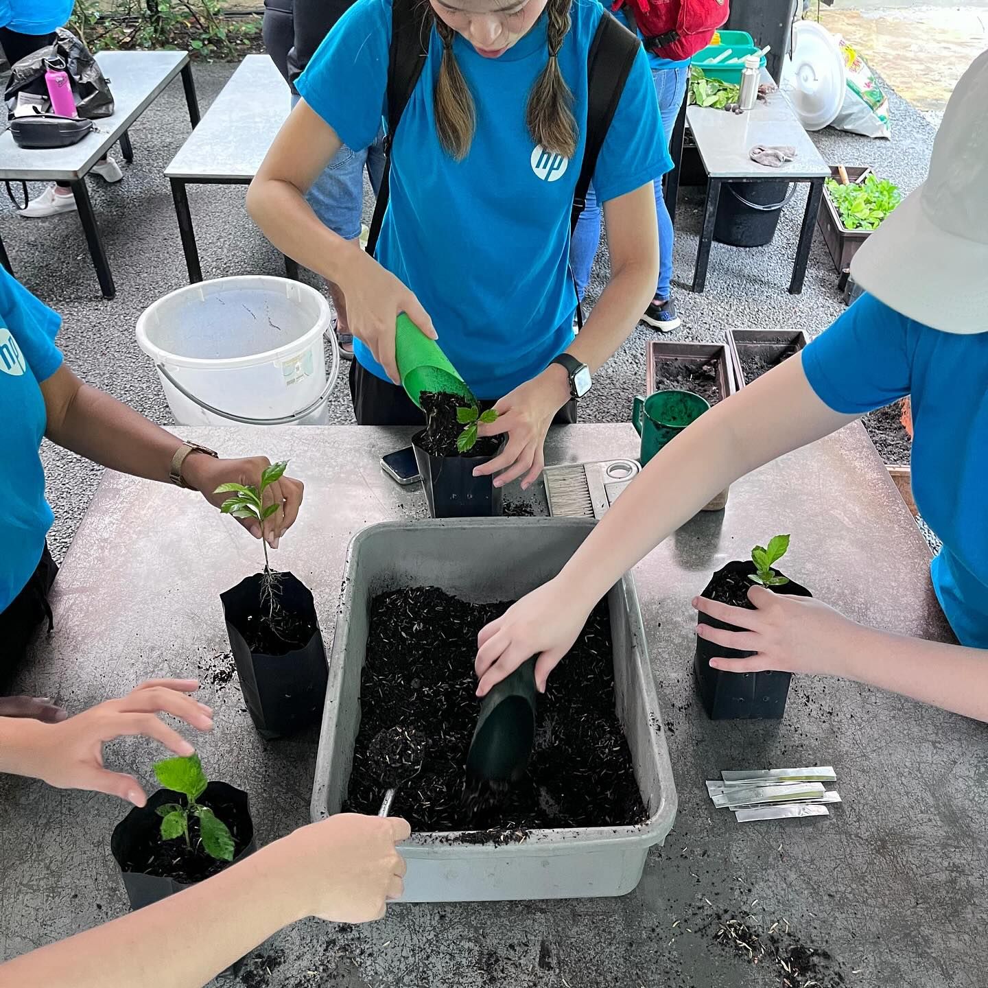 法米建议地方政府民间团体 在巴生谷一带推广植树文化