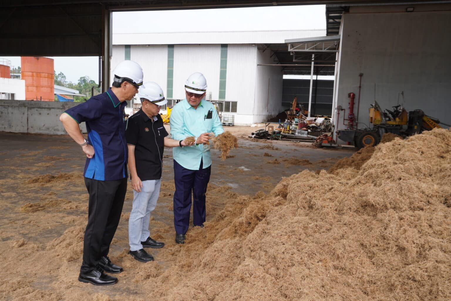 棕榈废料已成绿色经济重要来源 陈泓缣：创造可观国家收入