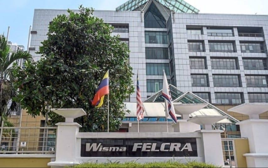 FELCRA公司否认售油棕果加工厂