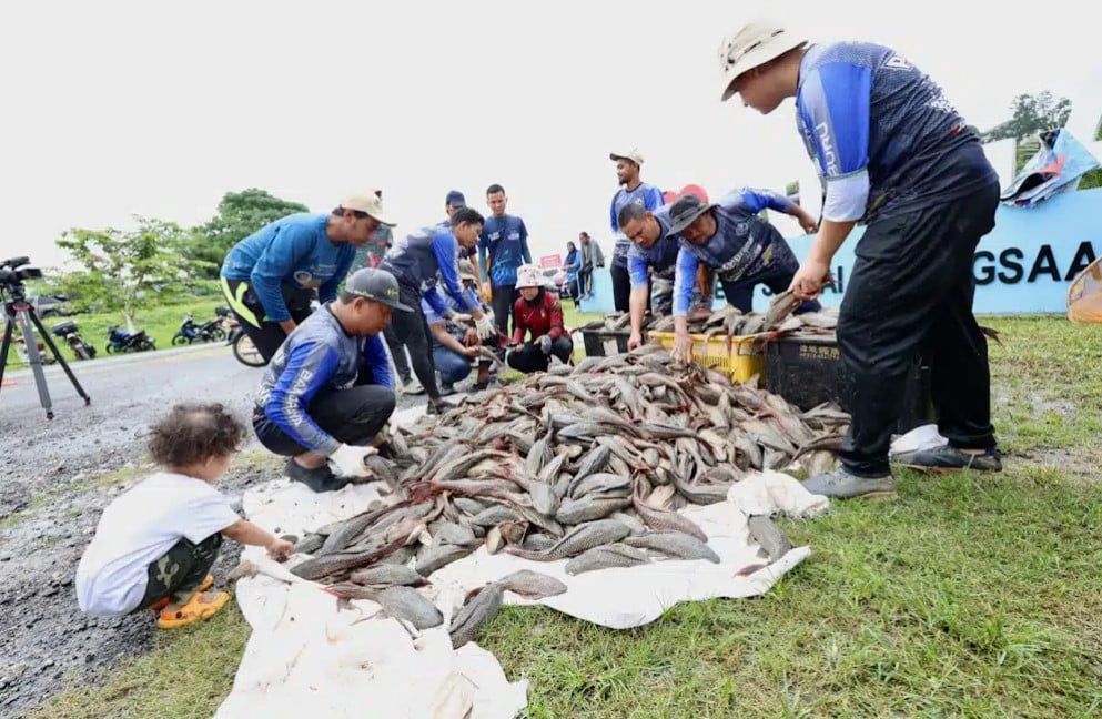 奖RM1捕清道夫鱼详情出炉！ 9月到冷岳河休闲河畔赚钱去！