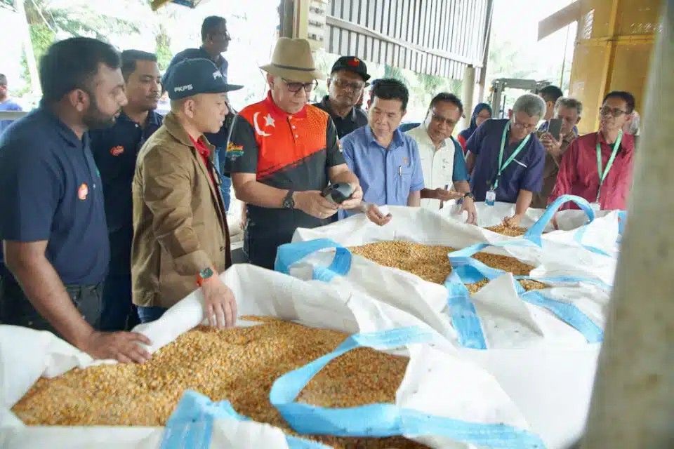 丹绒士拔建收集中心 可容纳约200吨玉米