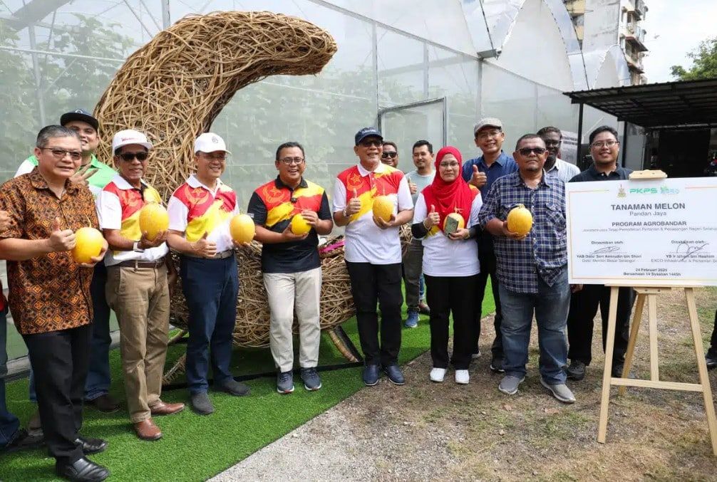 雪州专注发展现代高值农产品  依兹汉：保障粮食安全及充足