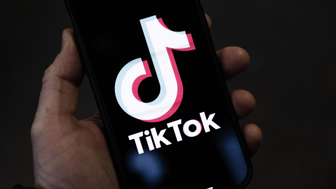 Owners of two TikTok accounts identified for sedition, spreading untruths