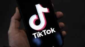 Owners of two TikTok accounts identified for sedition, spreading untruths