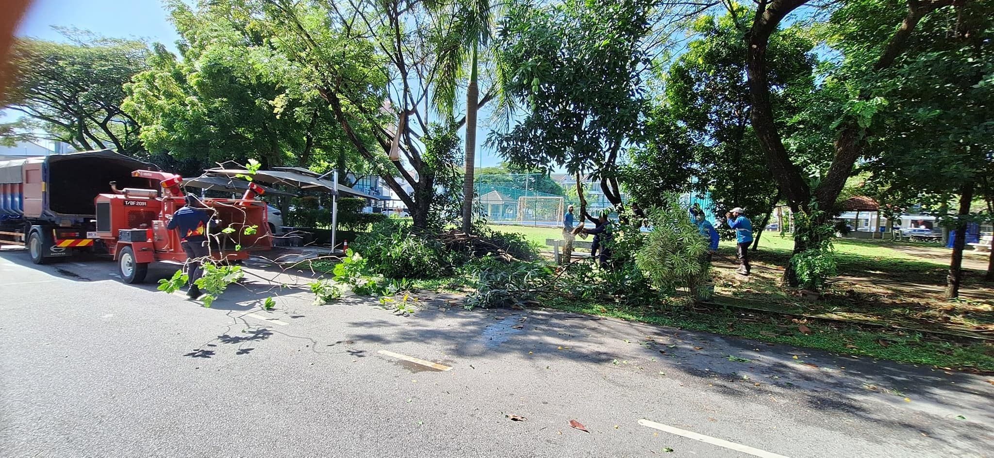 休闲公园变非法菜园 雪邦市会各组联手铲除还原