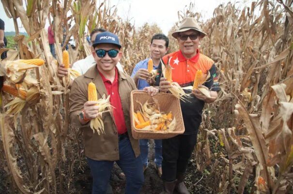 拟5年计划增农业用地 雪州明年起推自给自足