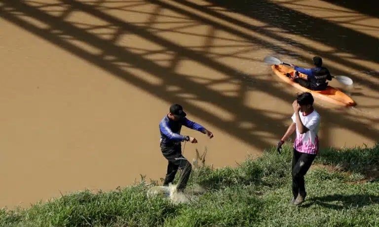 捕清道夫鱼有赏计划反应热    5天已捕获逾2000公斤