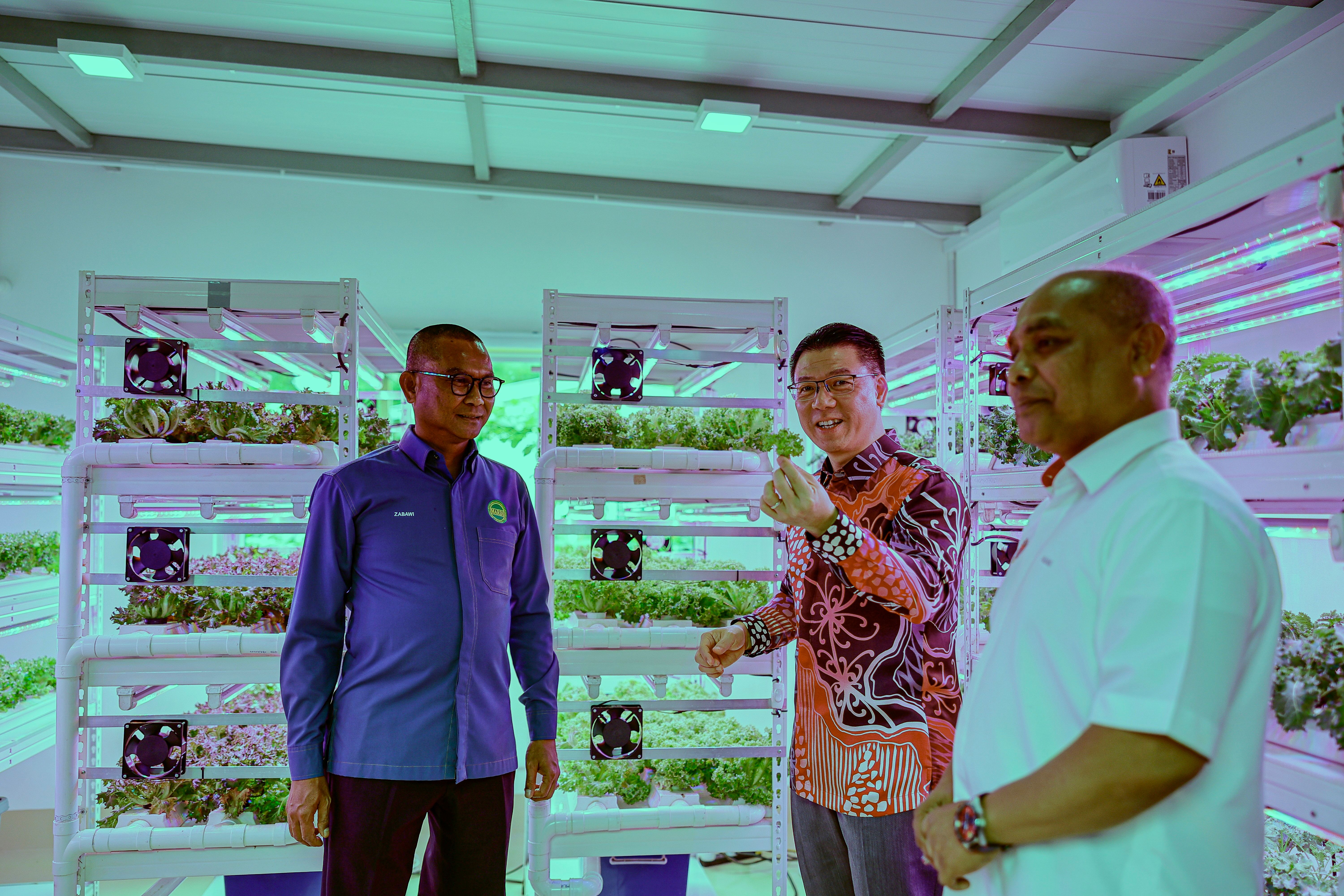 植物工厂规划指南简化审批程序  倪可敏：鼓励城市农业加强粮安