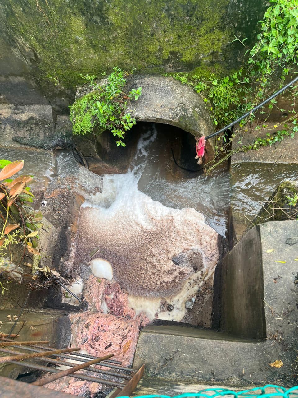 州政府与各造联手查轰埠河现泡沫    嘉玛丽雅：疑IBC水箱破裂泄漏清洁剂