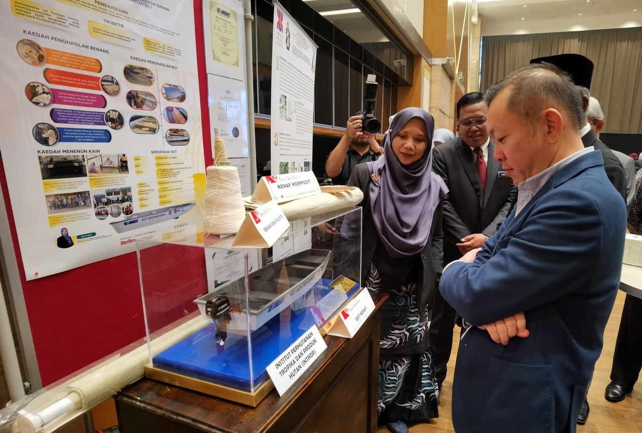 红麻产业发展亟需政府推动 陈泓缣：种植周期具吸引力