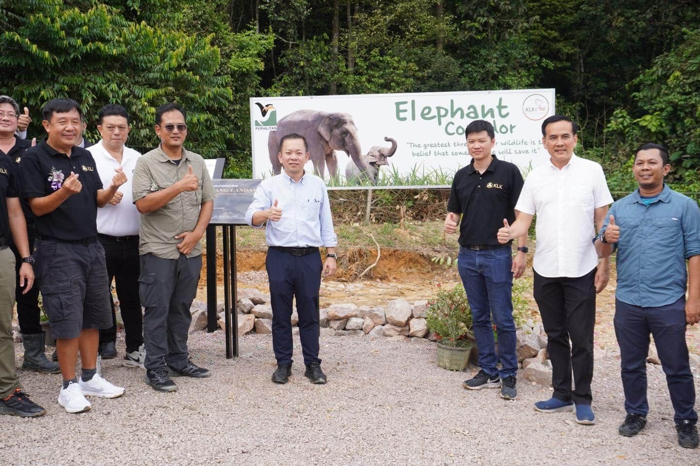 KLK集团设野象走廊供觅食  陈泓缣：人象共存保障永续环境