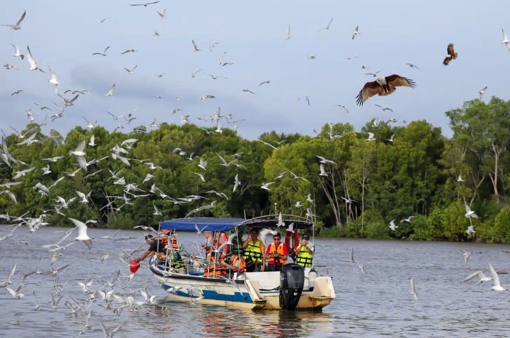 雪截至6月吸引360万人次到访   黄瑞林有信心突破700万目标