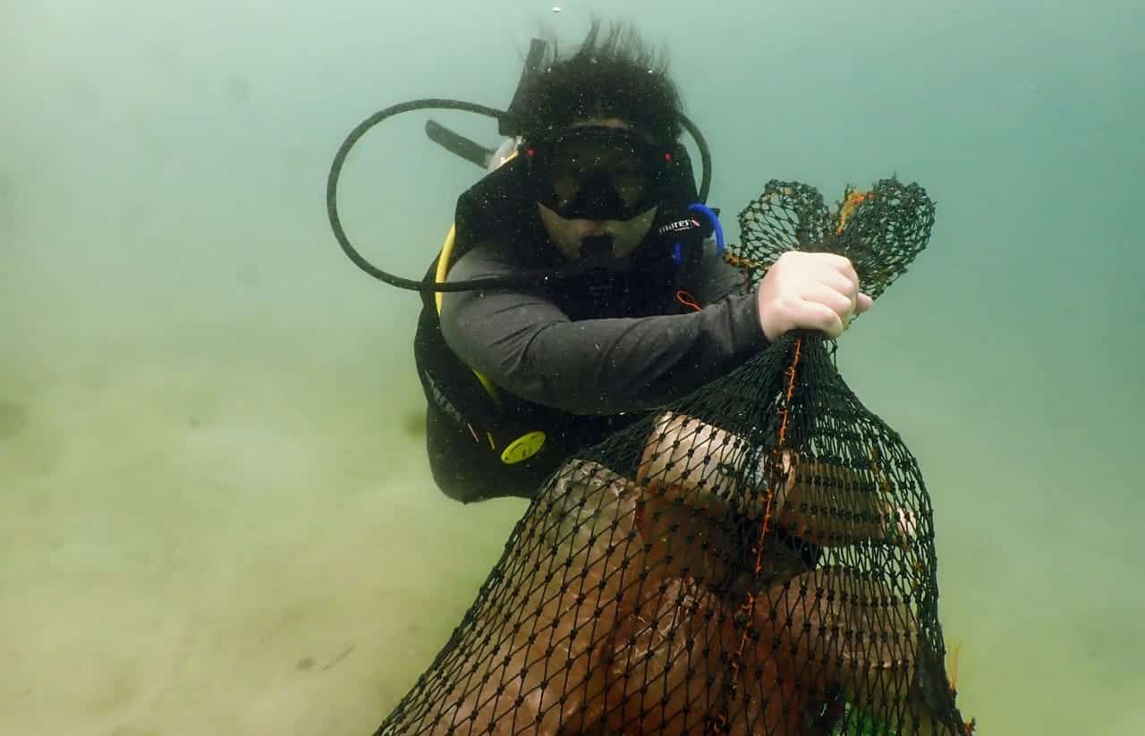 地球战士日：全球环保挑战  5000人捡5吨垃圾