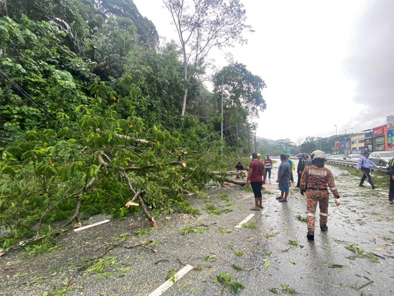 士拉央及万挠豪雨后树倒 砸中2车幸未酿伤亡