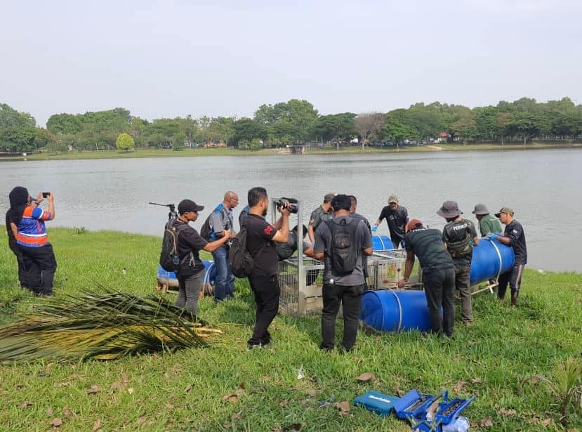 Section 7 lake to temporarily close at night for crocodile capture operation
