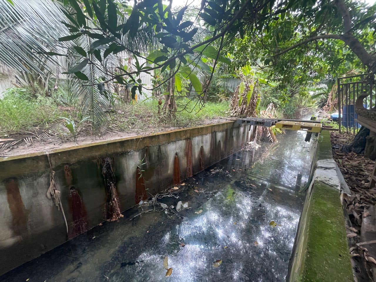 煮饭洗澡污水排入工厂沟渠   巴生市政厅开罚单警告