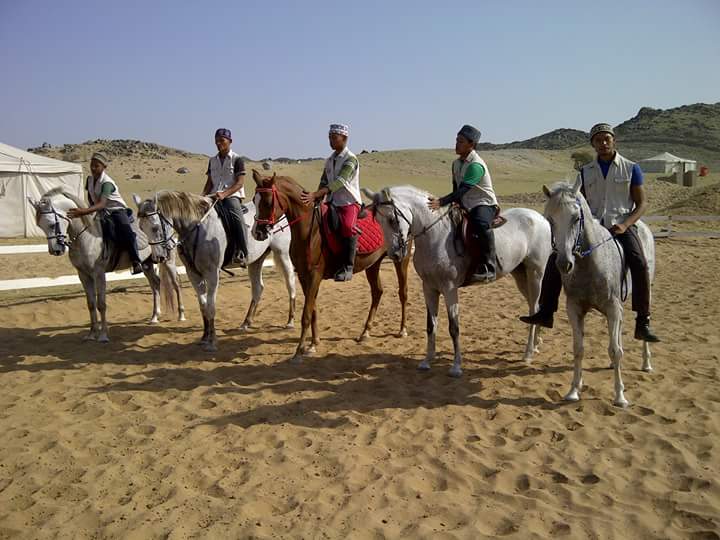 13 horses at Terengganu equestrian facility branded with GISB logo