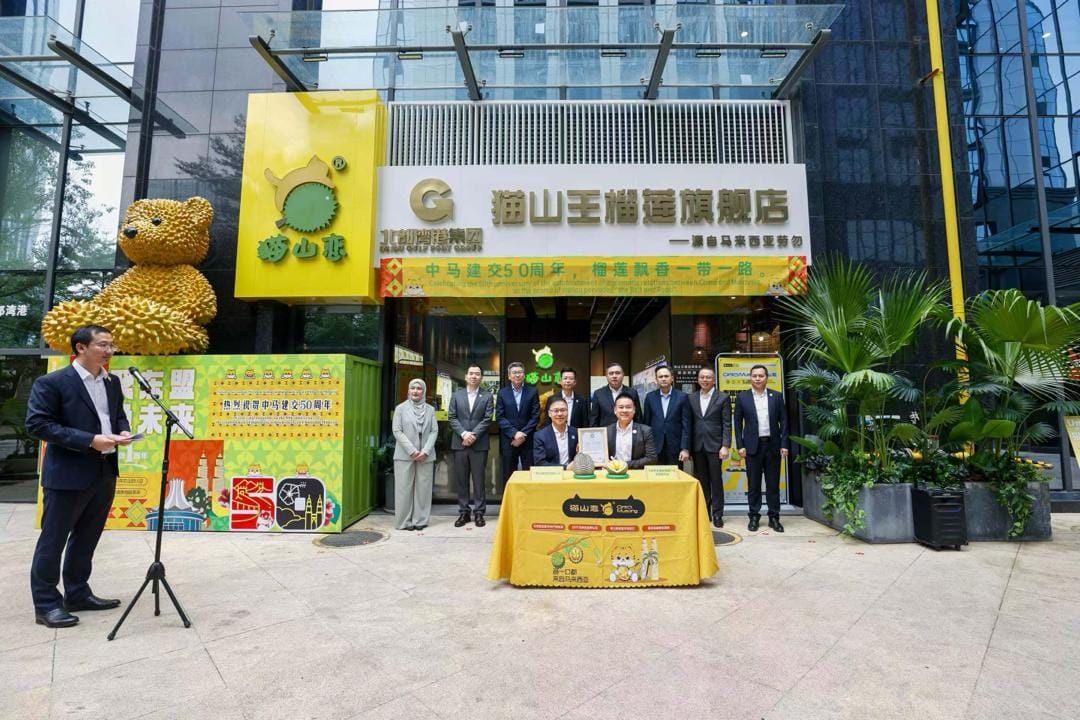 陆兆福率代表团访北部湾港 见证中国首张榴莲产地证书