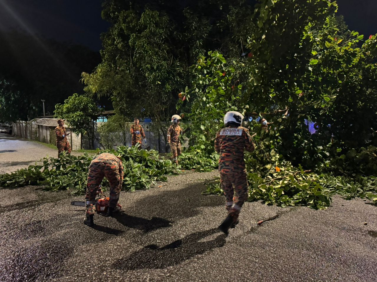 安邦昨日豪雨多区树倒阻交通  游佳豪促市议会关注私人大树问题