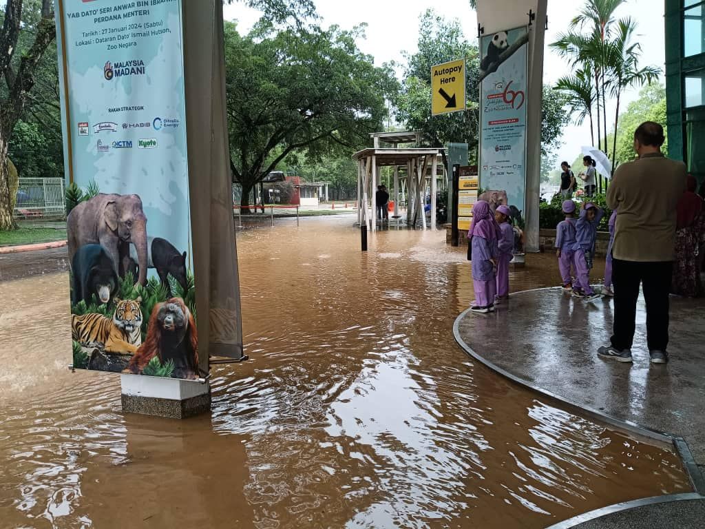 （视频）国家动物园昨暴雨成灾   动物均安然无恙