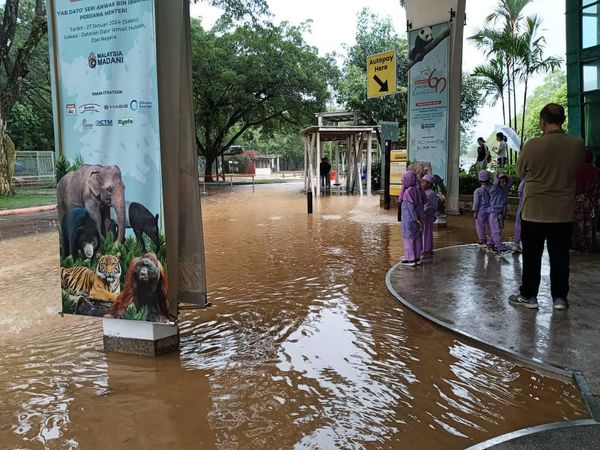 (视频)国家动物园昨暴雨成灾 动物均安然无恙