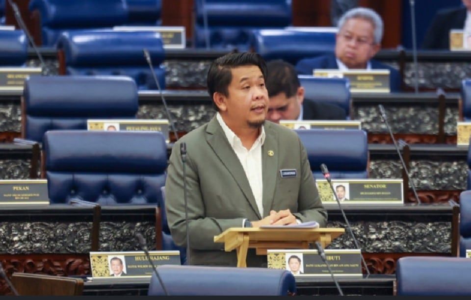 国会声浪表决：通过2024年传染疾病防治法修正案