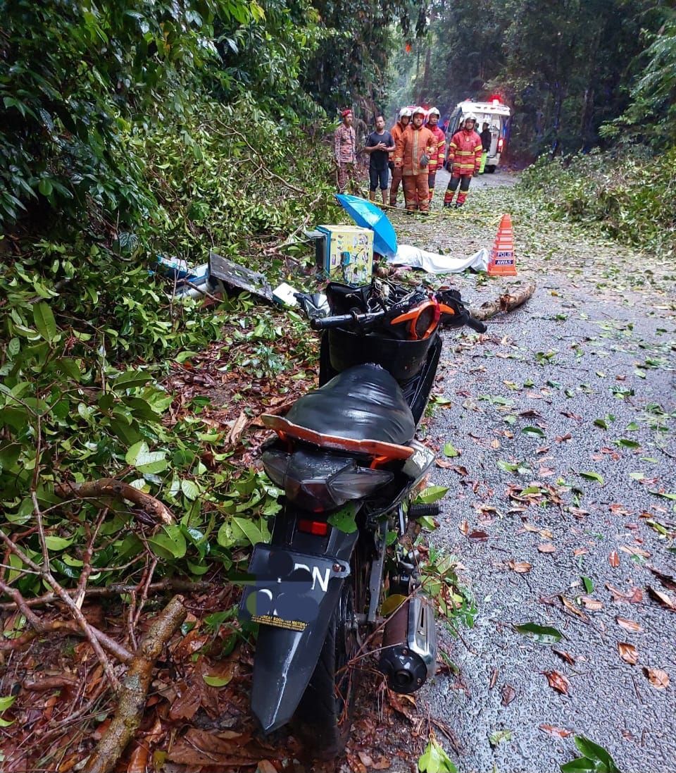 冰淇淋小贩返家途中 被强风雨倒下树木砸死