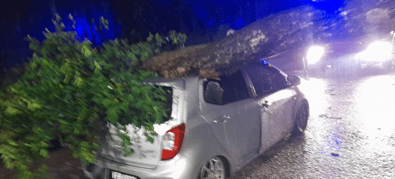 கார் மீது மரம் விழுந்தது - பெண்மணி அதிர்ஷ்டவசமாக உயிர்த் தப்பினார்