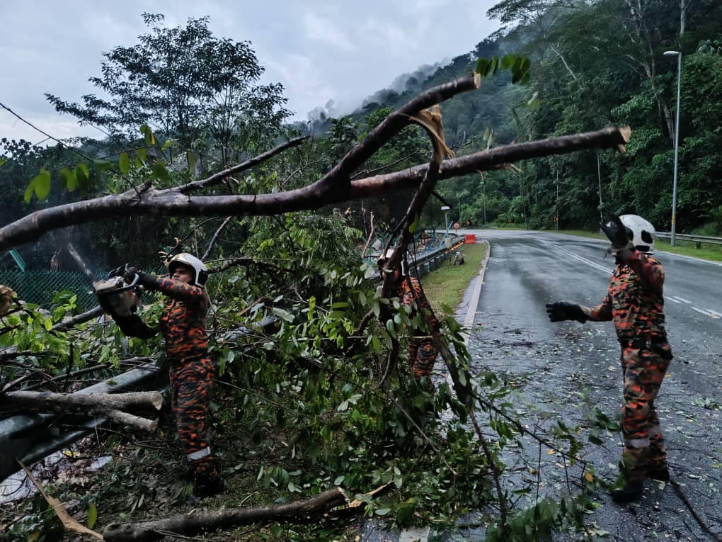 Storm uproots trees in Klang Valley, vehicles damaged