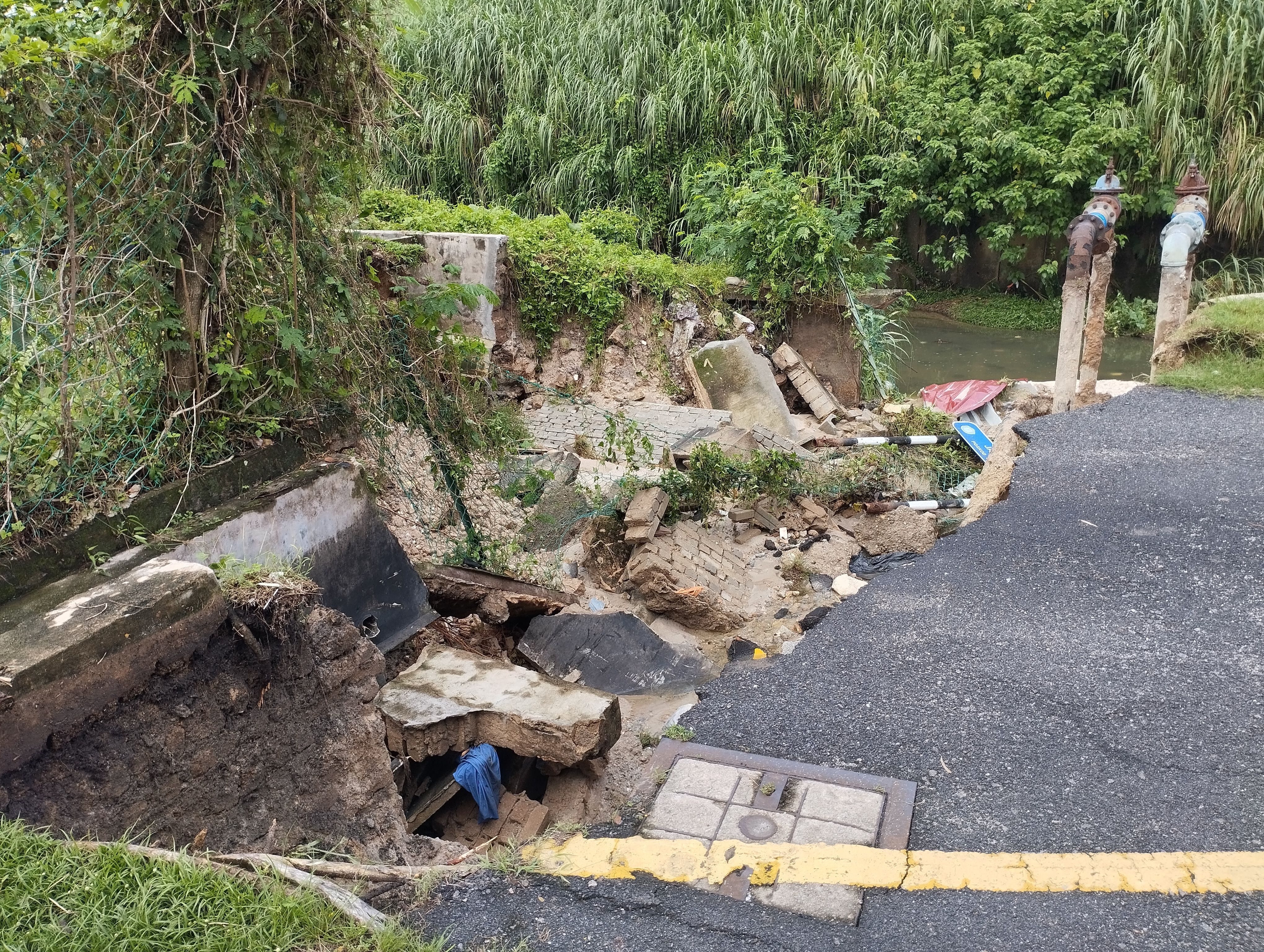 雨季勿把车停风险区 游佳豪：免树倒淹水崩塌