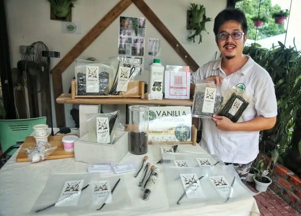 雪政府拟提供奖励 鼓励农民种高价值作物