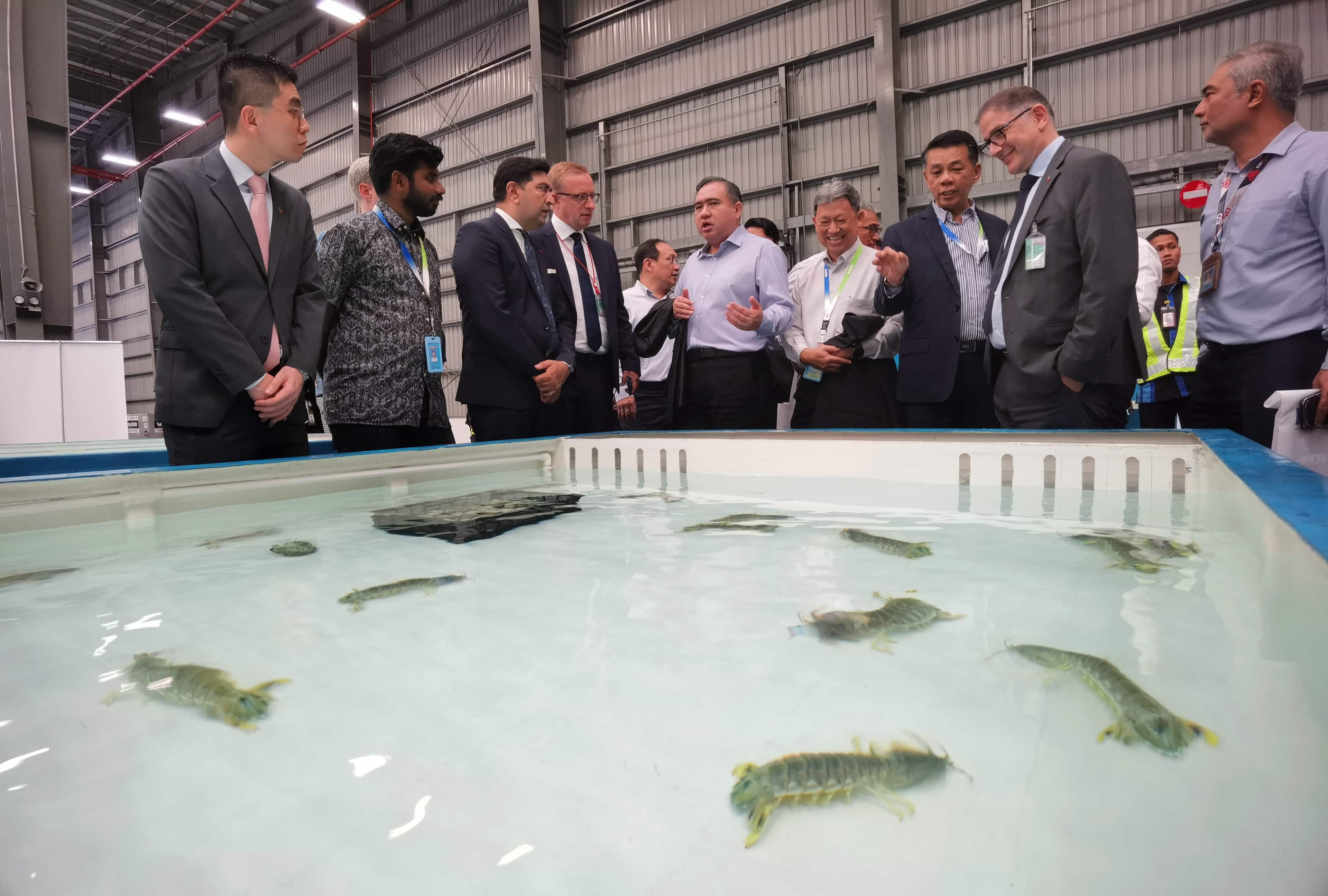 陆兆福：隆机场可成区域货运枢纽